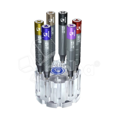 Набор отверток Mechanic King Kong (c органайзером, 6 шт.)